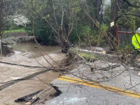 California on Alert San Francisco Issues First-Ever Tornado Warning as Storm Hits