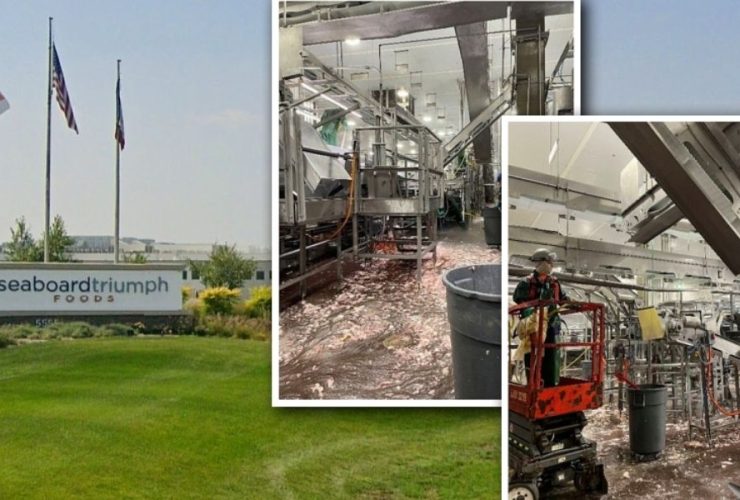 Child Labor Exposed 11 Minors Found Working Dangerous Night Shift at Iowa Meat Plant