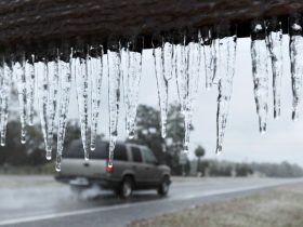 Cold Weather Alert Preparing for December's Chill in Northeast Florida and Southeast Georgia