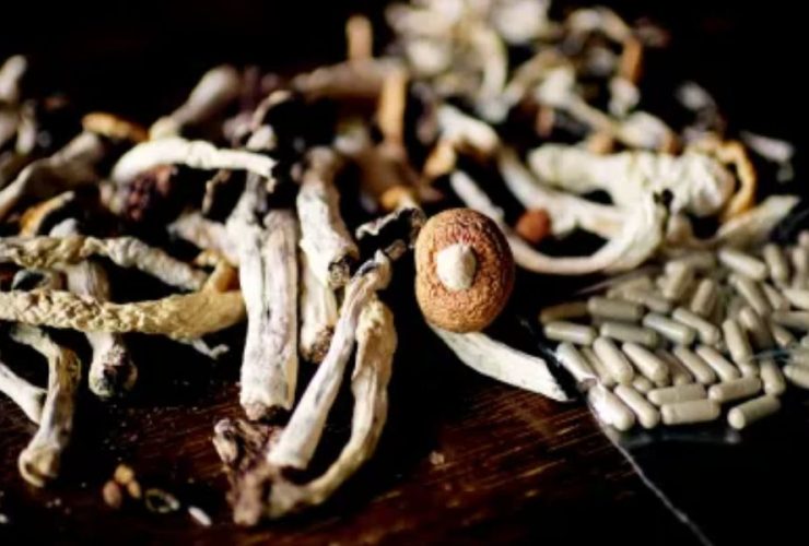 Colorado Begins Accepting Applications for Psilocybin Service Centers Starting December 31