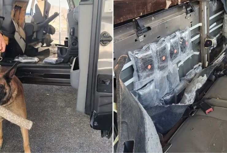 Drug Trafficking in Northern Arizona Faces Increased Scrutiny from K-9 Unit