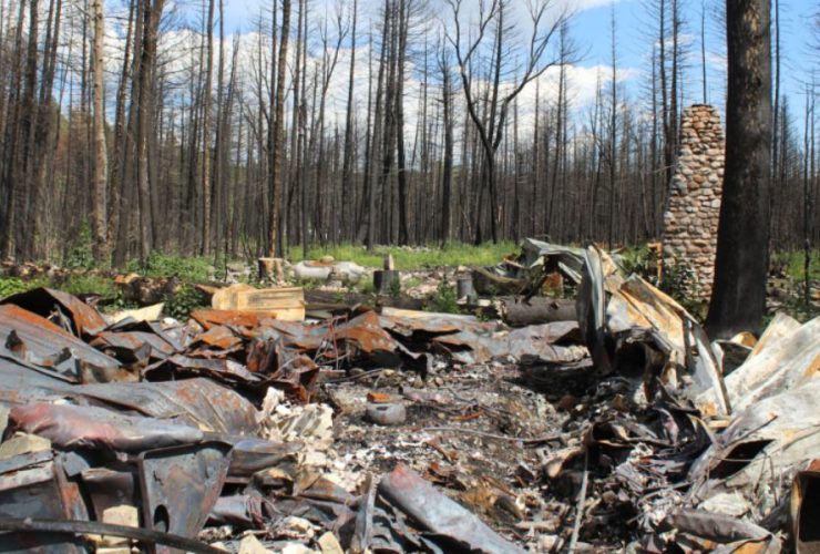 FEMA to Provide Emotional Harm Payments to Northern New Mexico Fire Survivors, Court Rules