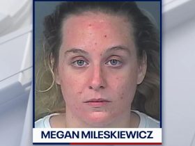 Florida Woman Arrested for Repeatedly Stabbing Boyfriend’s Dog, Authorities Report