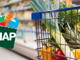 Florida’s SNAP Benefit Schedule, See When You’ll Get Your First Income