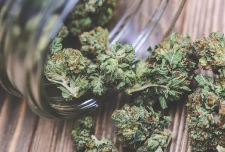 Kentucky to Launch Medical Cannabis Prescription Program for Approved Patients
