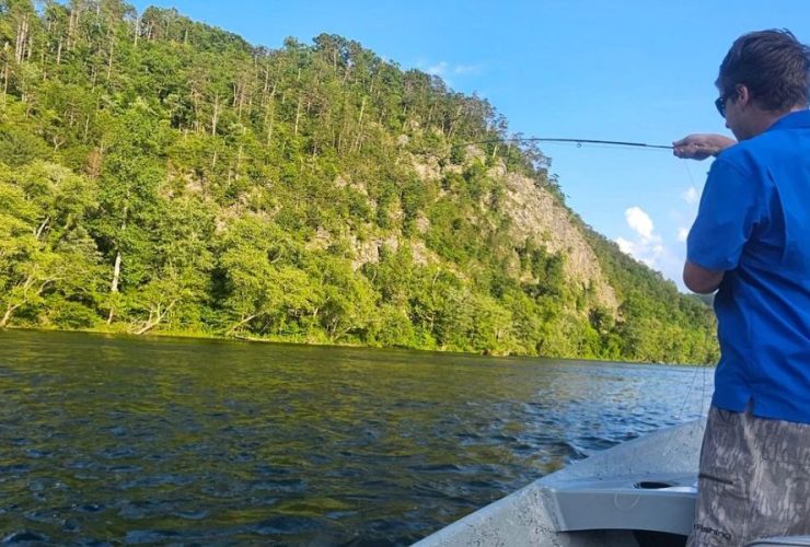 License Fees Set to Change After Tennessee Fish & Wildlife Commission Approval