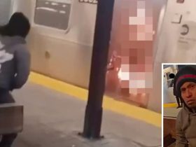 Migrant Arrested After Allegedly Setting Woman on Fire and Watching Her Burn on NYC Subway