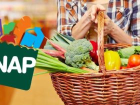 More Financial Relief Coming to Low-Income Households with Increased SNAP Benefits