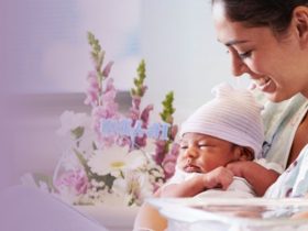 New Parents in Connecticut Receive Vital Help Through the Family Bridge Program