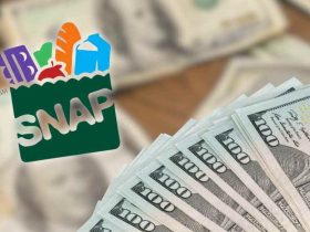 SNAP Benefits Boost: Florida SNAP Recipients to Get Bigger Payouts in 2025 Compared to Last Year