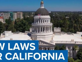 What’s New for California in the New Year Top Laws Set to Take Effect From January 1