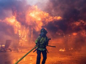 Deadly Wildfires in Los Angeles Kill 5, Trigger Mass Evacuations for 100,000+ People