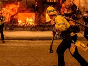 A Blaze of Help Hundreds of Washington Firefighters Head to LA