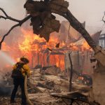 Arizona Takes Action with Fuel Mitigation and Emergency Plan Updates Amid California Wildfires