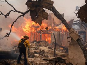 Arizona Takes Action with Fuel Mitigation and Emergency Plan Updates Amid California Wildfires