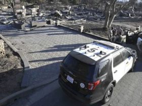Arrests Made in Los Angeles Wildfire Looting, Arson Suspects Could Face Life Sentences