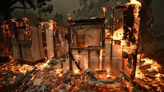 California Wildfires Reach Historic Scale, Claim 11 Lives and 36,000 Acres