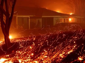 California Wildfires Reach Historic Scale, Claim 11 Lives and 36,000 Acres