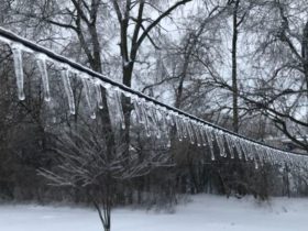 FEMA to Evict 3,000 Families from Hotels in Carolinas Amid Oncoming Snowstorm