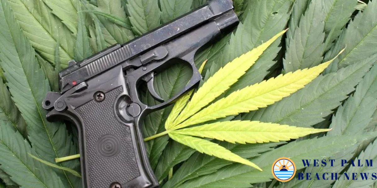 Federal Law Says Medical Marijuana Users Can’t Own Guns Here’s What That Means for Kentucky