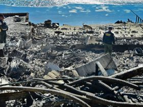 Fire Cleanup on Hold: L.A. County Requires Inspection Before Debris Can Be Removed