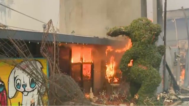 Flames from Eaton Fire Destroy Altadena’s Renowned Bunny Museum