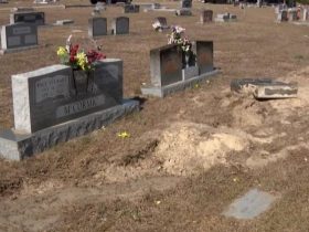 Florida Cemetery Vandalized Teen Accused of Destroying Headstones in Reckless Joyride