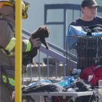 Heartbreaking Fire at Dallas Shopping Center Kills 579 Pet Shop Animals