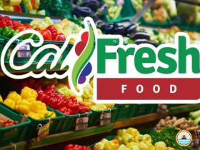 January 2025 CalFresh Recertification Important Deadline for Renewing Your Food Assistance