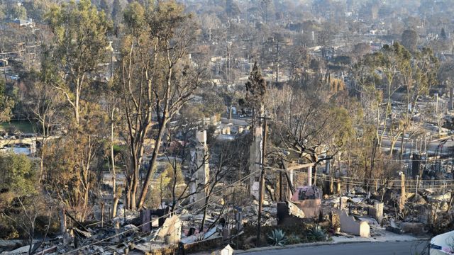 L.A. City Council Moves to Protect Unauthorized Residents and Pets from Eviction During Fire Emergency