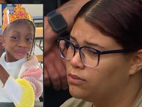 NJ Bus Aide Facing Charges After 6-Year-Old Girl Choked by Harness While She Was on Her Phone