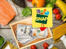 Texas Beneficiaries Will See January 2025 SNAP Payments in Their Accounts This Week