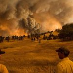 UCLA Study Finds Climate Change Played a Role in Recent Wildfires