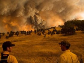 UCLA Study Finds Climate Change Played a Role in Recent Wildfires