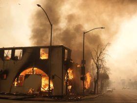 L.A. City Council Moves to Protect Unauthorized Residents and Pets from Eviction During Fire Emergency