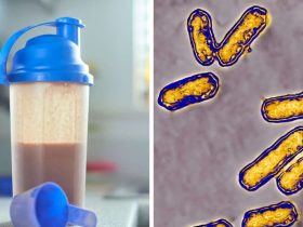 11 Deaths Prompt Recall of Shakes Sold to Nursing Homes Due to Listeria Contamination