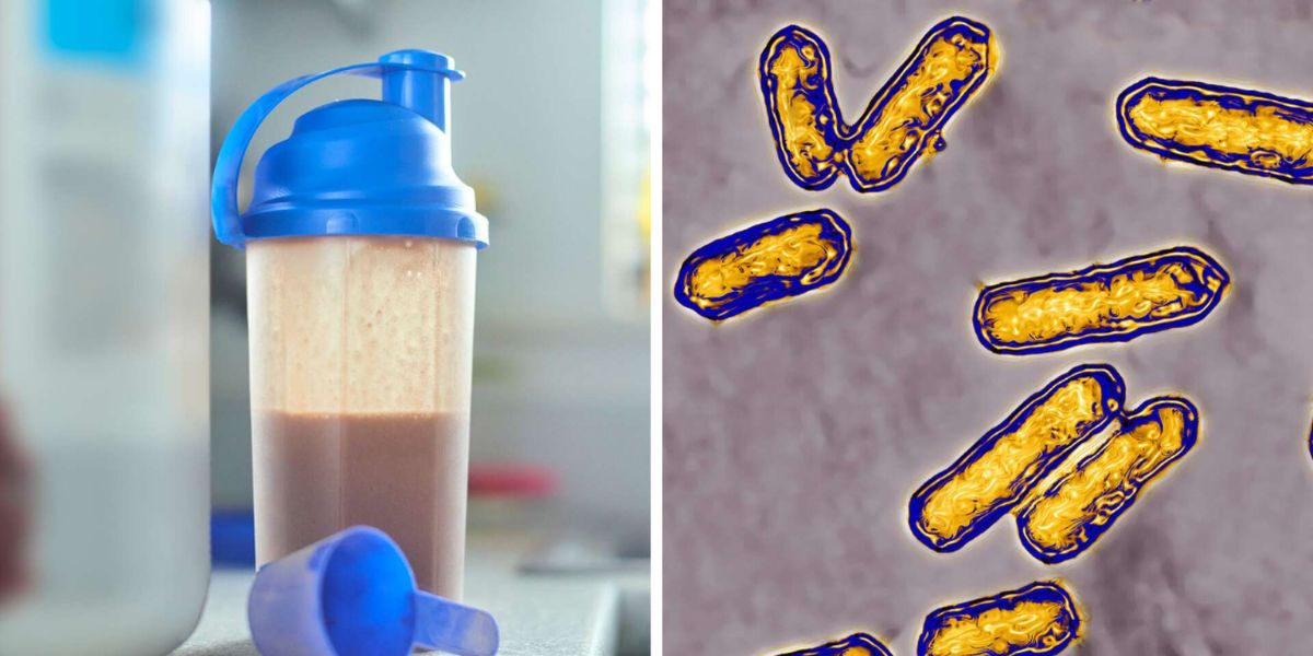 11 Deaths Prompt Recall of Shakes Sold to Nursing Homes Due to Listeria Contamination