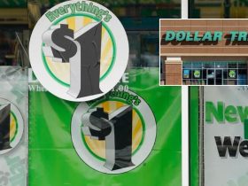 Shoppers Line Up for Hours at Dollar Tree to Buy This Item for Under $1