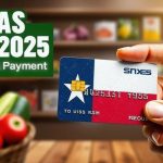 Texas SNAP Payment Schedule Who Receives Benefits in the Final Week of February 2025