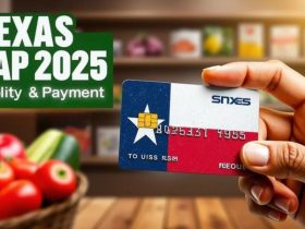 Texas SNAP Payment Schedule Who Receives Benefits in the Final Week of February 2025